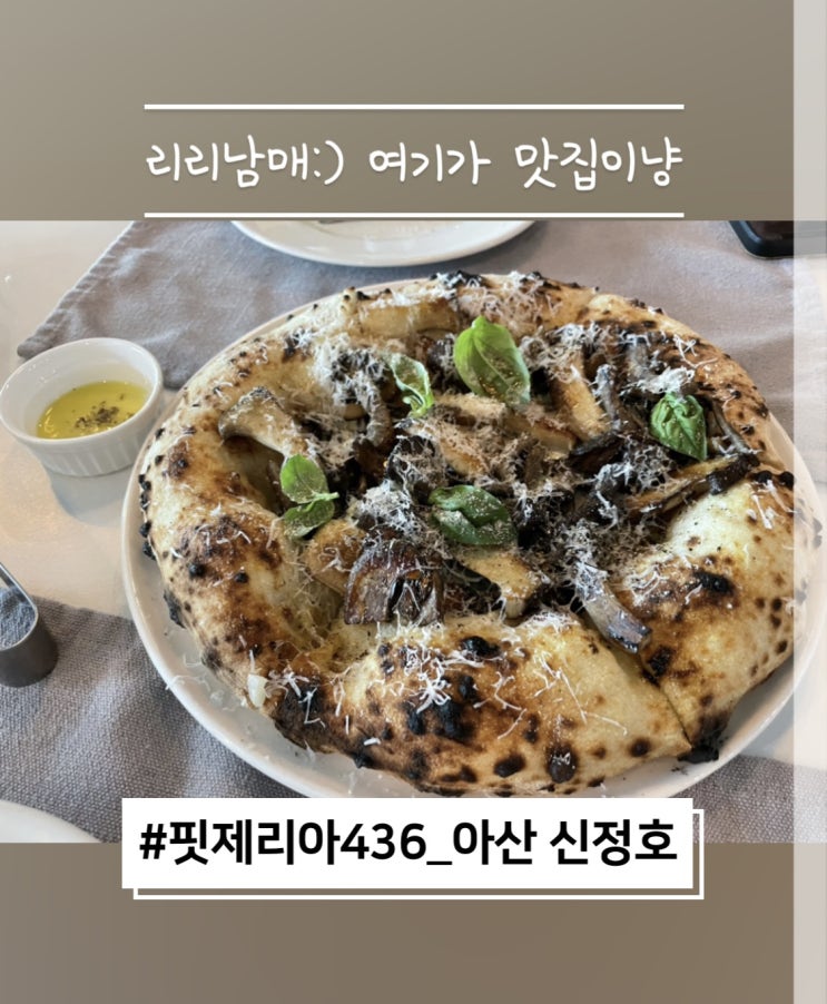 핏제리아436 아산 신정호 애견동반식당 내돈내산 리뷰