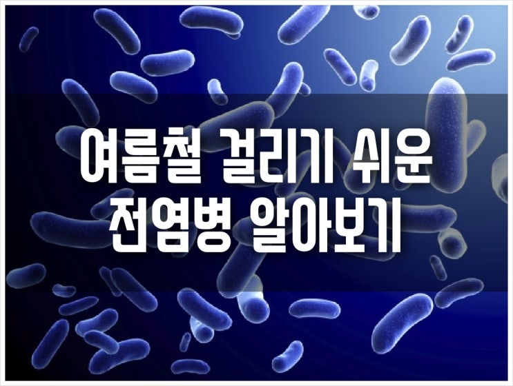  여름철 걸리기 쉬운 전염병 알아보기