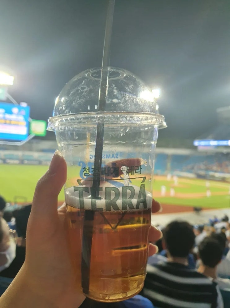  삼성라이온즈파크 블루존 후기(+예매 할인방법, 음식반입, 치어리딩 영상, 응원영상)