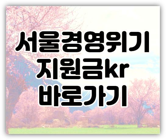 서울경영위기지원금kr 바로가기 소상공인 100만원 신청하기