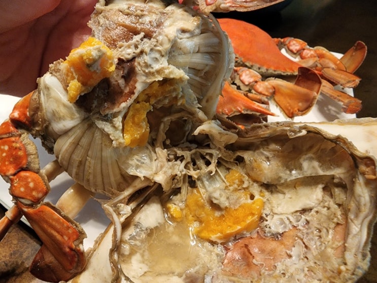  오늘회 / 5월 오늘회 꽃게 특가 알꽉찬 살아있는 제철 암꽃게 당일배송(꽃게찜, 양념게장 레시피)