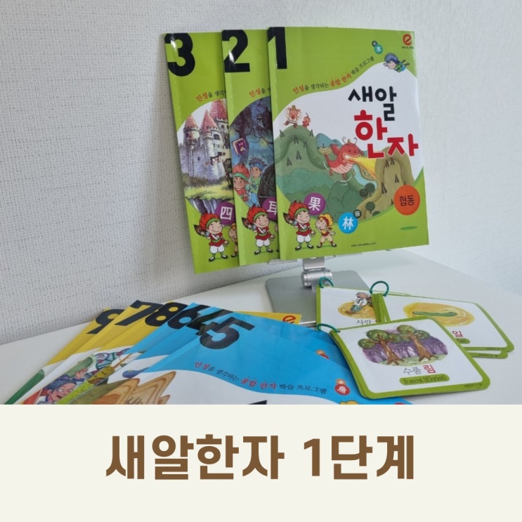  유아한자 바로 지금부터! 만2세 아들과 새알한자 놀이해요