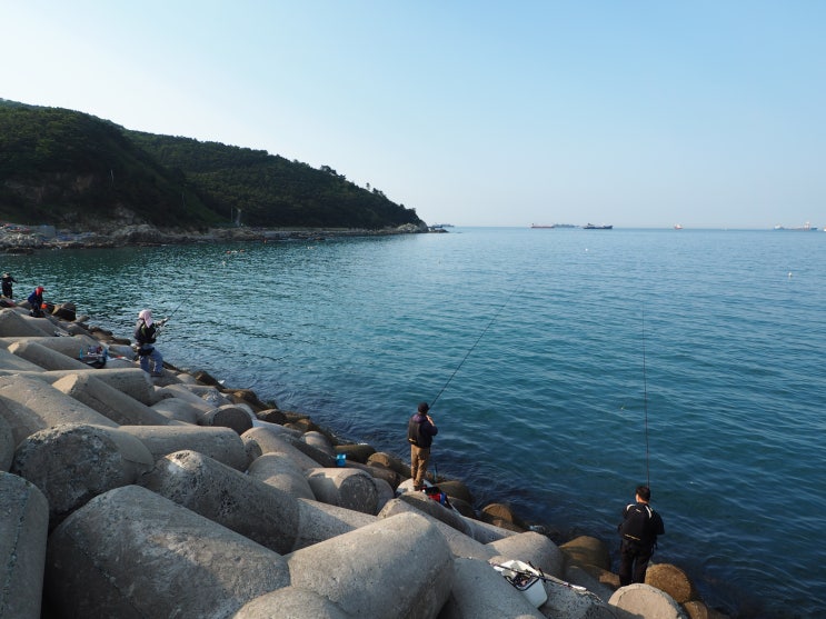  출근길 부산 영도 동삼중리 방파제 낚시포인트 살펴보기!