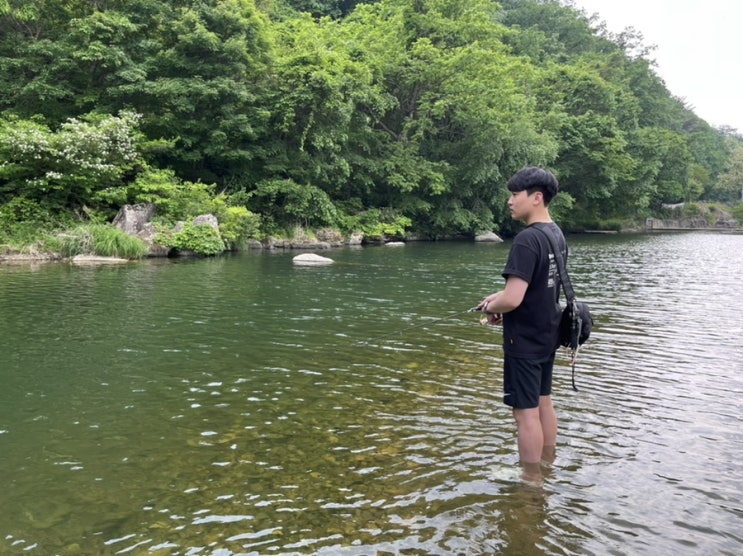  [강원도 횡성 캠핑장] 아이들과 가기 좋은 계곡 캠핑장 "마중캠핑장"