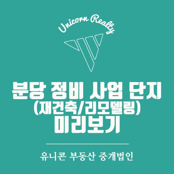  분당 정비사업단지(재건축/리모델링) 미리보기(feat.임장스터디)