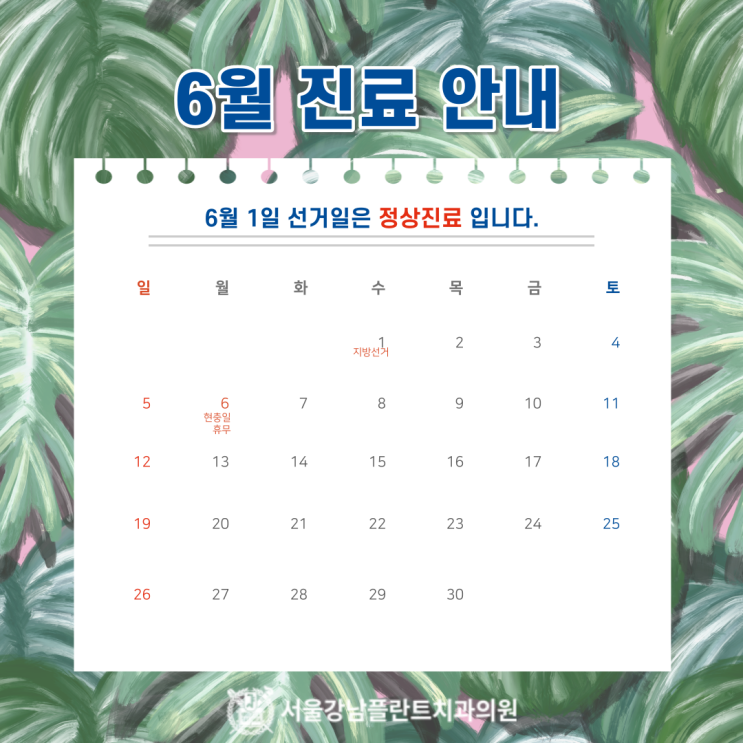  [서울강남플란트치과] 6월 진료일정 안내 (feat.6월 1일 정상진료)