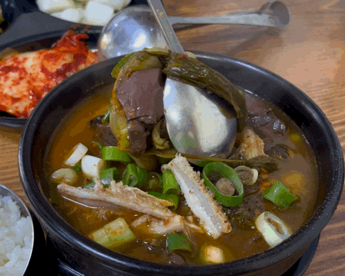  [대전 신안동] 맛좋은선지해장국