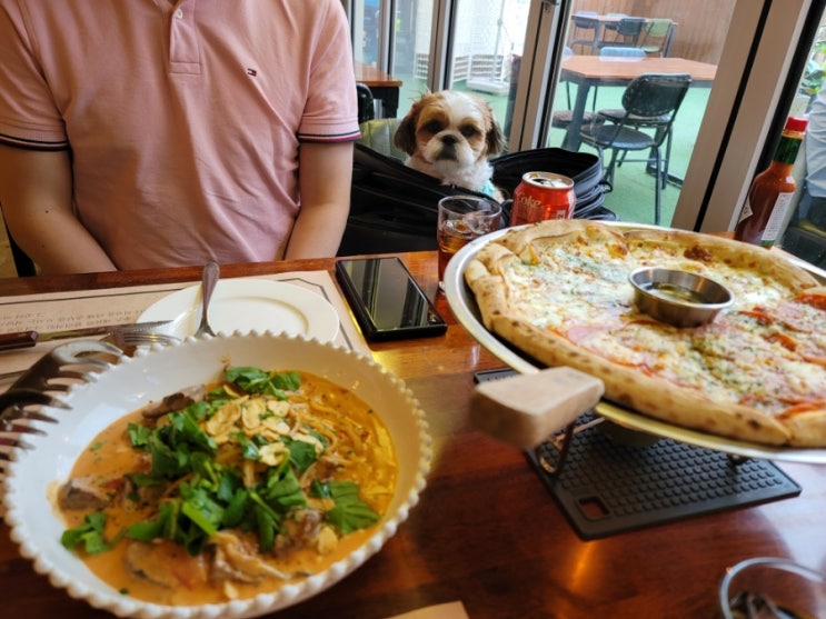  수원 애견동반식당 PPK키친 강아지랑 또 가고 싶어