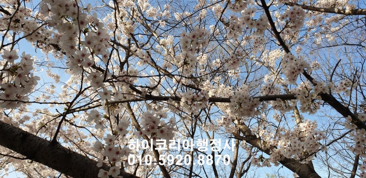  [행정정보] 자율주행자동차의 안전기준에 대하여①