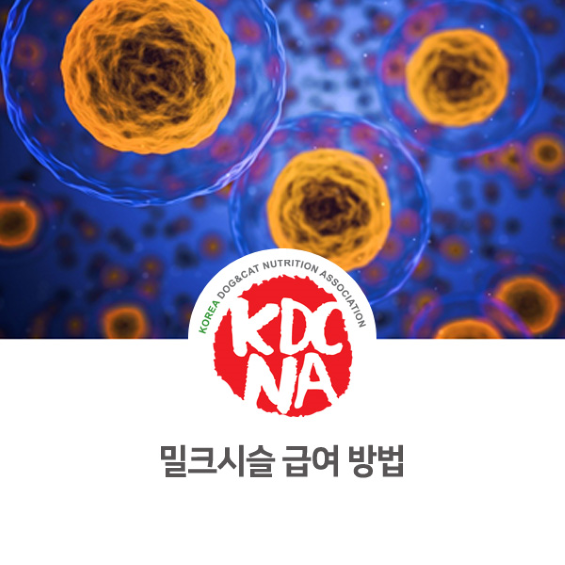  강아지 밀크시슬 급여 방법 [한국반려동물영양협회/최수연펫푸드아카데미/펫푸드자격증/애견수제간식창업반/펫베이커리/강아지음식/수원/성남/안성/남양주/의정부_1016]