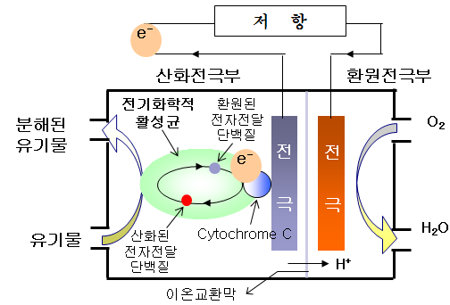 수질관리 111회 4교시 문제 3. 미생물연료전지를 이용한 하·폐수처리 방법을 설명하고, 극복해야 할 제한인자들을 설명 하시오.