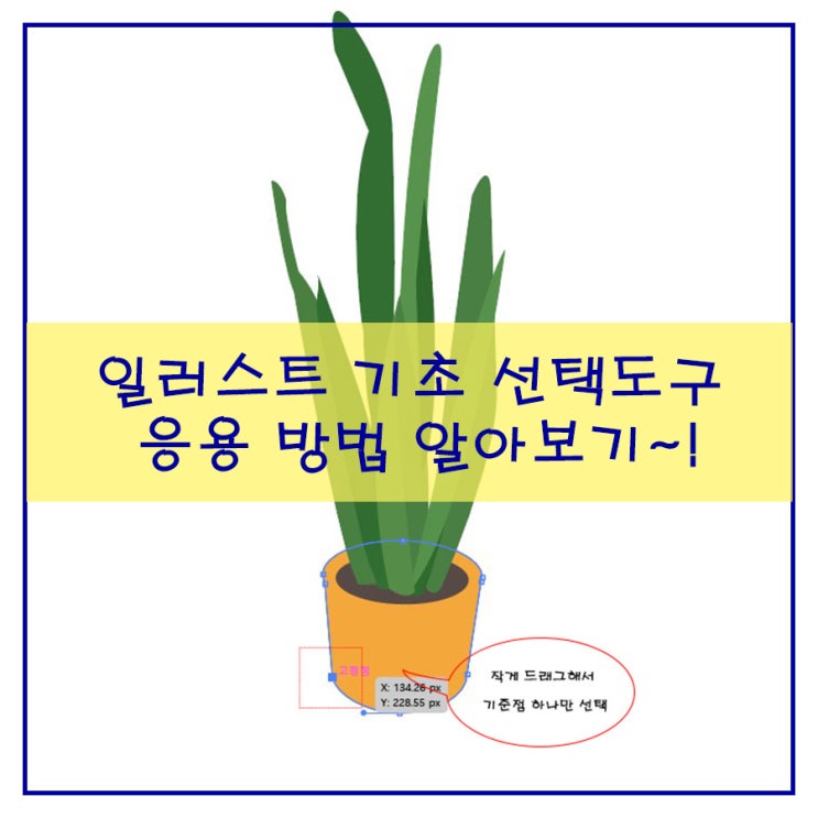  일러스트 기초 선택도구 응용 방법 알아보기