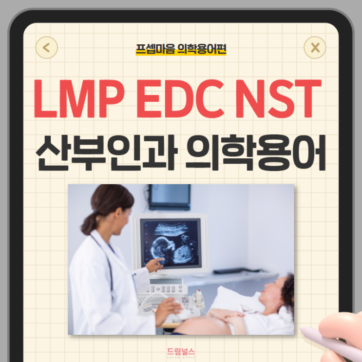 의학용어 LMP EDC NST | 산부인과 의학용어 알아보기