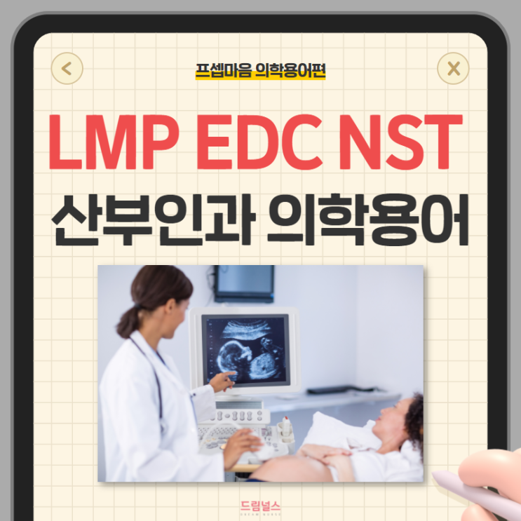 의학용어 LMP EDC NST | 산부인과 의학용어 알아보기 의학용어 LMP EDC NST | 산부인과 의학용어 알아보기