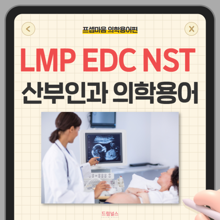 의학용어 LMP EDC NST | 산부인과 의학용어 알아보기