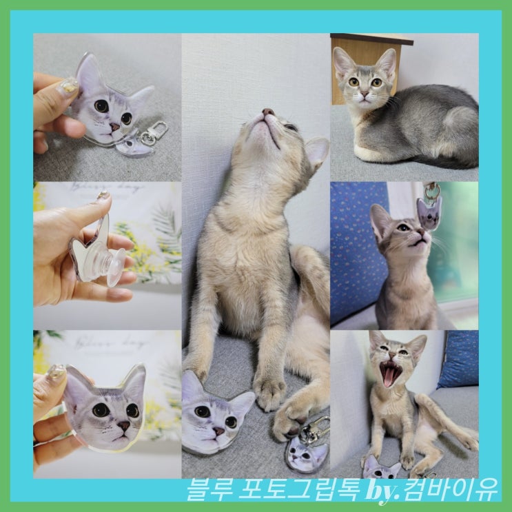  포토그립톡 반려동물 키링 만들땐 with.컴바이유