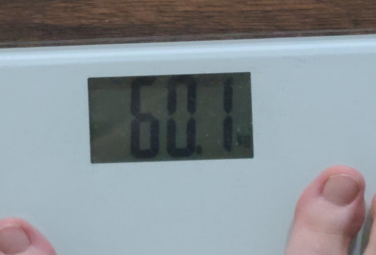  [다이어트 일기] 다이어트를 시작하다 / 서이추 환영