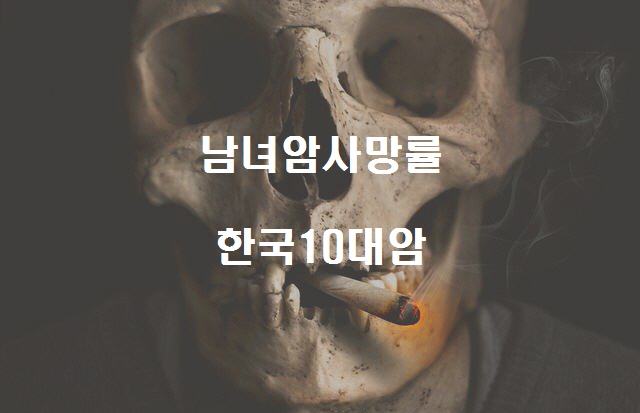  우리나라 10대 암 사망률 남녀 주요암 사망율