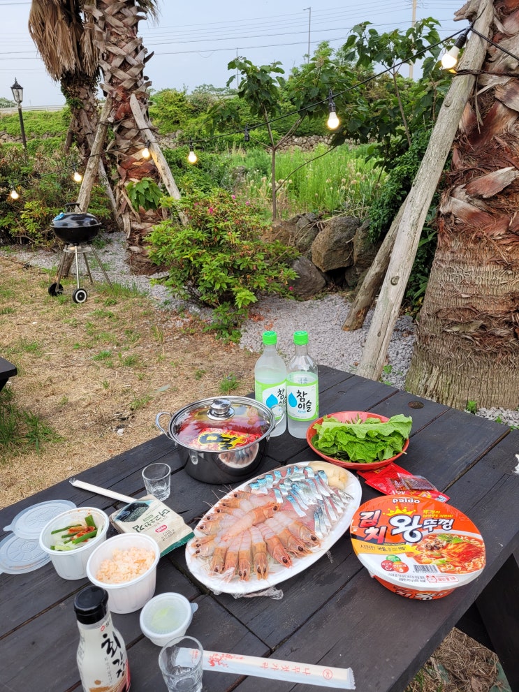  한림회포장 경성회센터 고등어 딱새우회 왕싱싱
