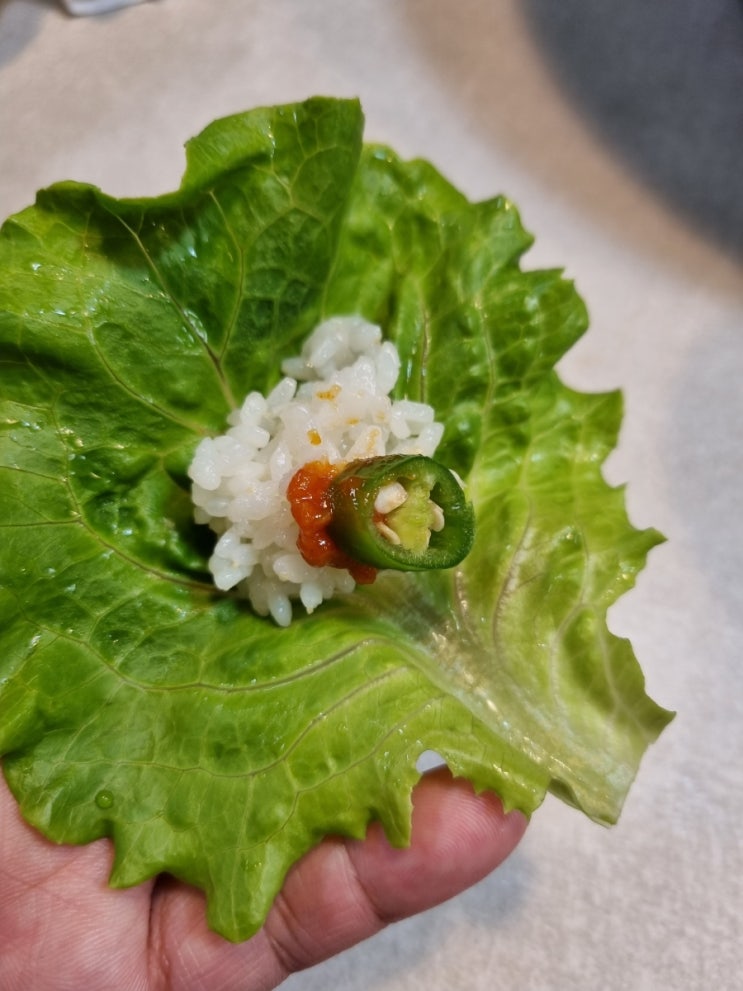 첫 수확 추비요령 과연 이 텃밭의 끝은 첫 수확 추비요령 과연 이 텃밭의 끝은