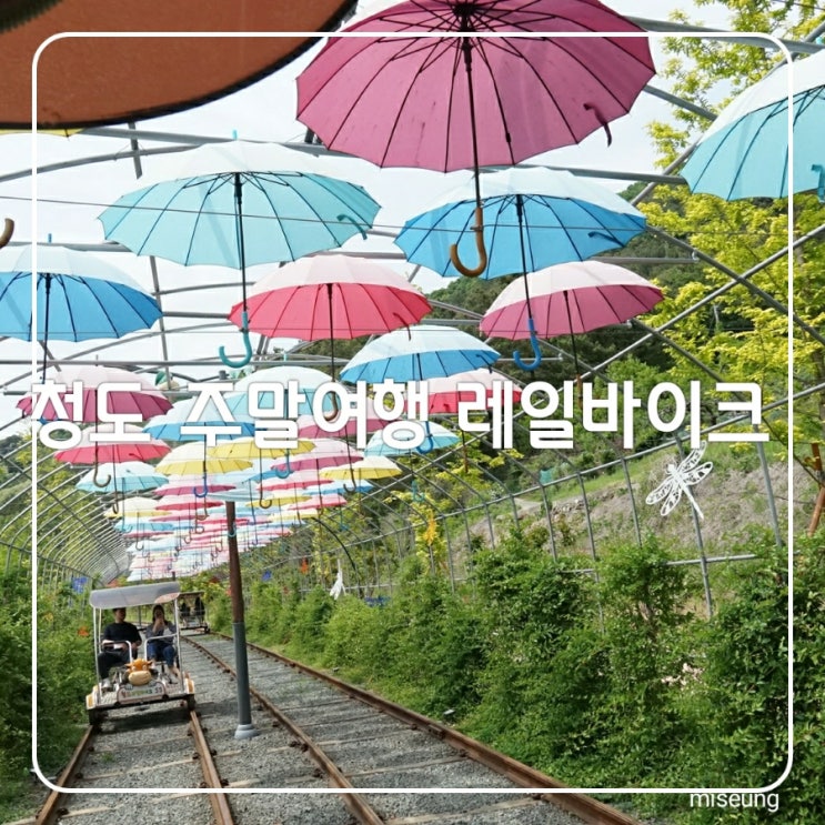  청도 레일바이크 날씨도 좋고 주말여행 으로 가볼만한곳 가격 4인승 25,000원