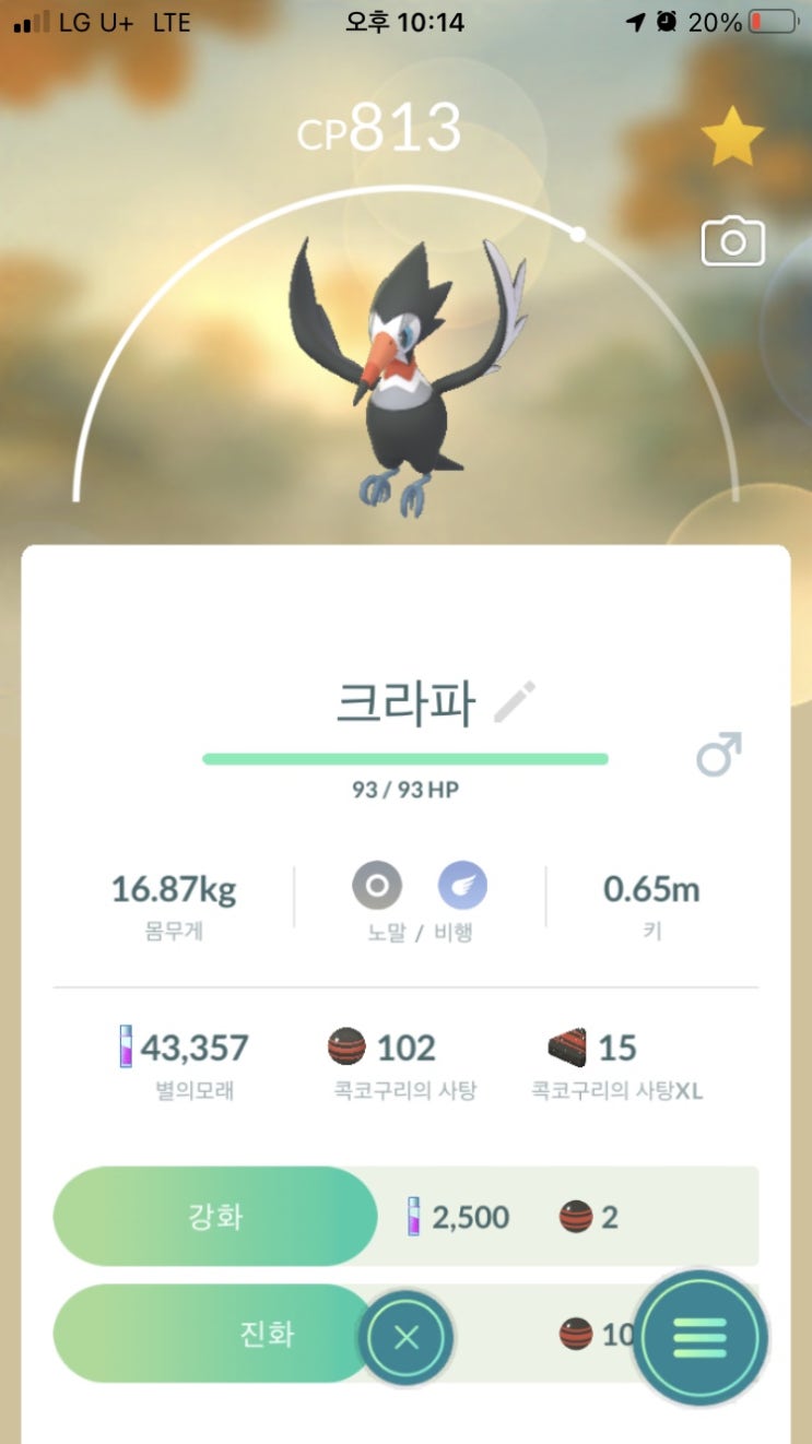  크라파, 왕큰부리
