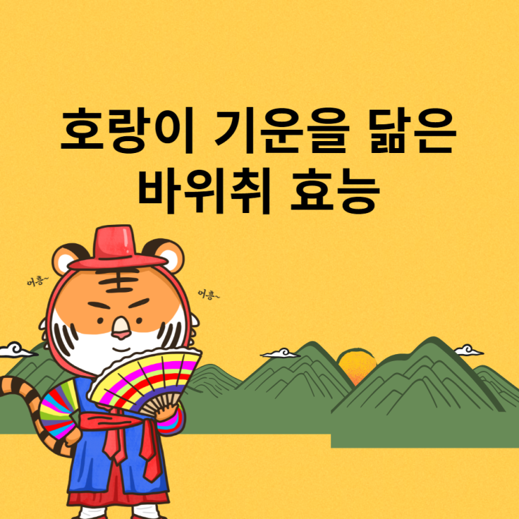 바위취 효능 독소제거 좋은 음식 바위취 나물 바위취 효능 독소제거 좋은 음식 바위취 나물