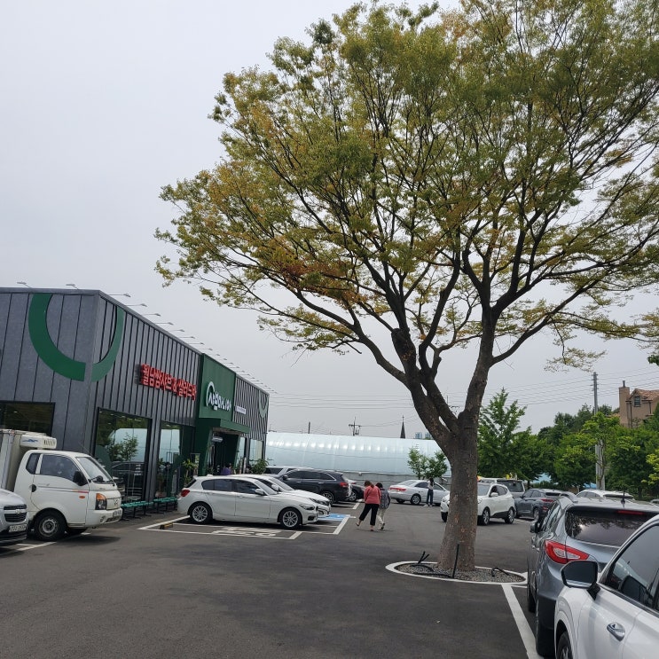  천안 유량동 새로운 식당 샤브샤브 무한리필 - 샤브마니아