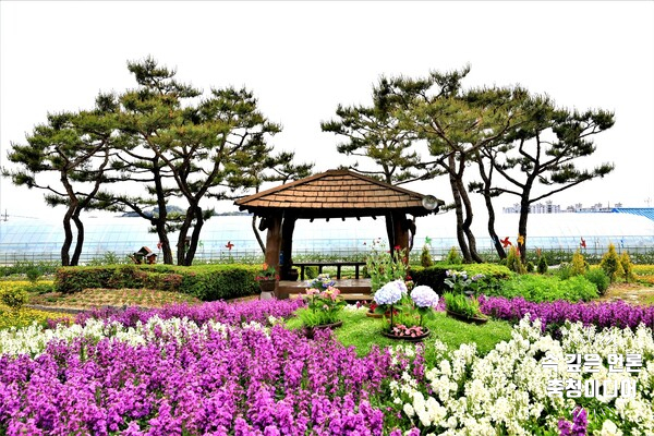  제천시, '봄 그리고 설렘' 휴(休) 치유정원 27일 개장