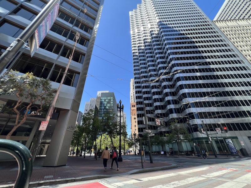 (미국 여행) 거대 도심 공원, 샌프란시스코