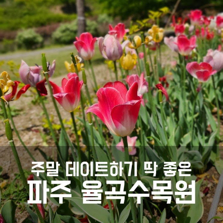 파주 율곡수목원 서울 근교 데이트 코스로 추천