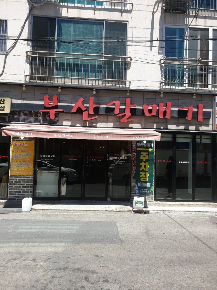  창원 도계동 부산 갈매기