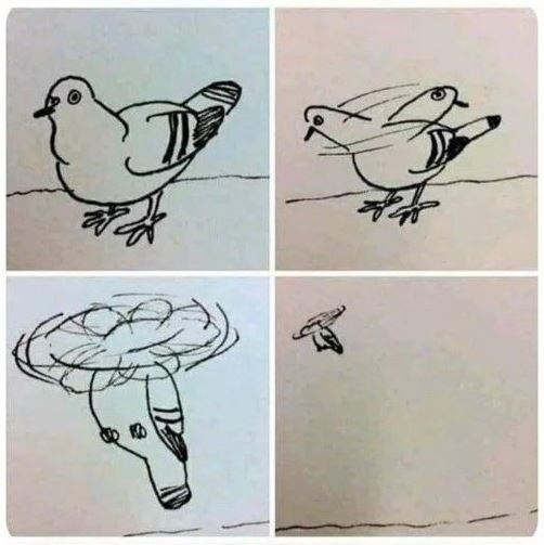  220526