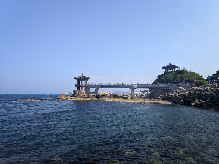  [속초] 안 보면 후회! 영금정 동명항 무료주차 관광 꿀팁 ~