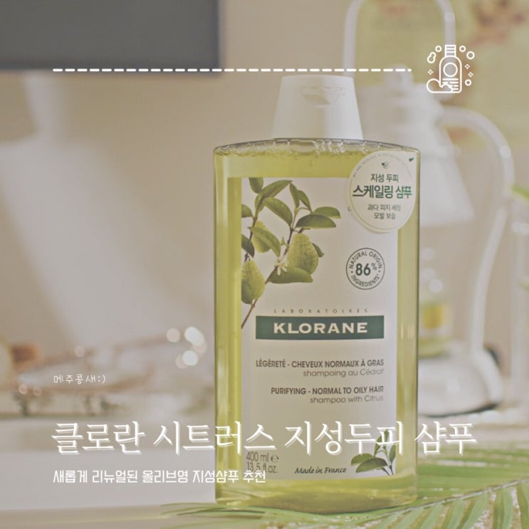  올리브영 지성두피 스케일링샴푸 :: 클로란 시트러스 두피스케일링 샴푸