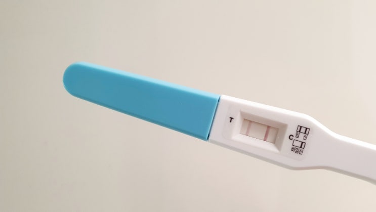  세아이 엄마가 되다!! 임신초기 기록 4주~7주