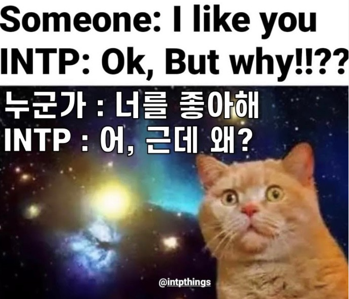  INTP 연애 / 꼬시는법 공략법 / MBTI 공략법 시리즈 [2]