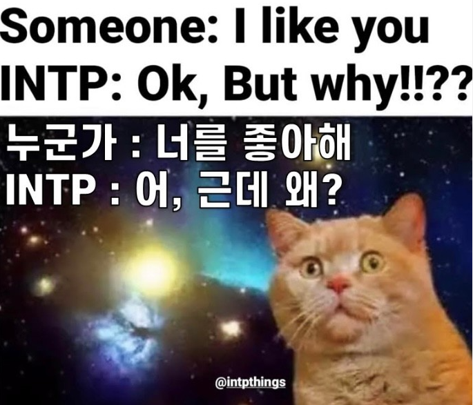 INTP 연애 / 꼬시는법 공략법 / MBTI 공략법 시리즈 [2]