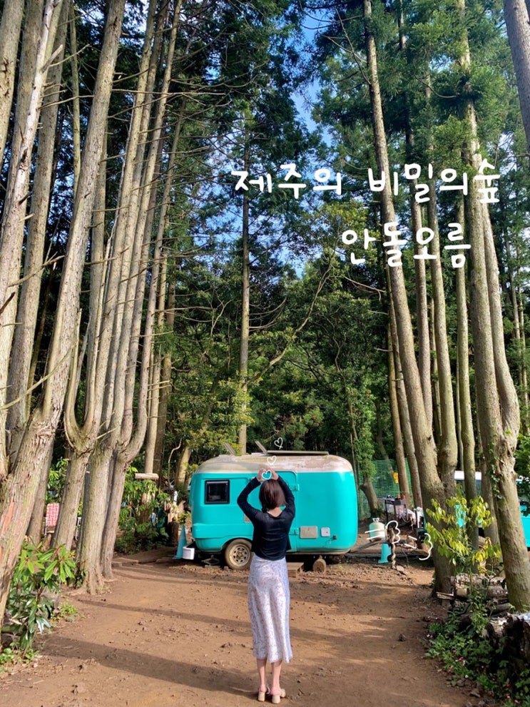  제주 동쪽 가볼만한곳, 사진 찍기 좋은 제주 안돌오름 비밀의숲 추천, 가기전 주의할점