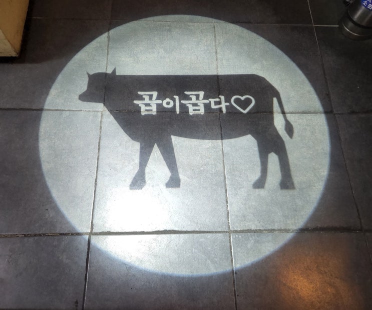  제천 장락동 곱창맛집 곱이곱다