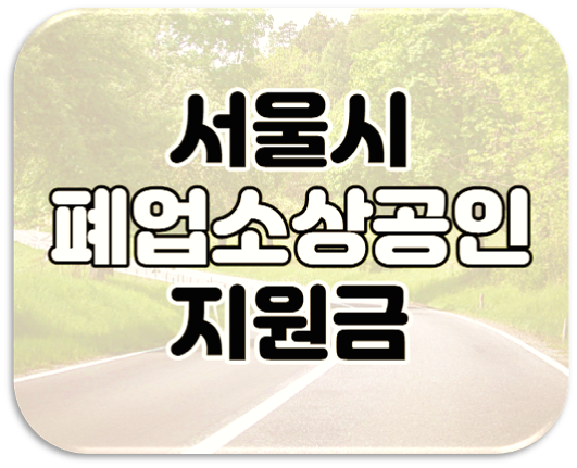 서울시 소상공인 폐업지원금 300만원 사업정리재기지원kr 신청 서울시 소상공인 폐업지원금 300만원 사업정리재기지원kr 신청