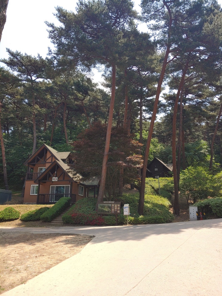  안면도 자연휴양림
