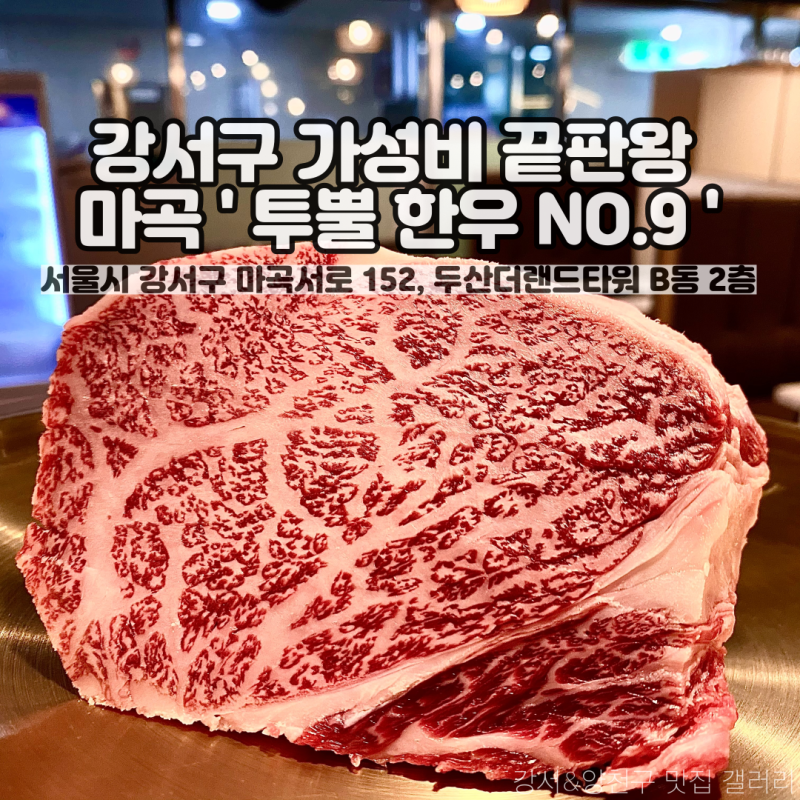 투뿔한우No.9 이미지