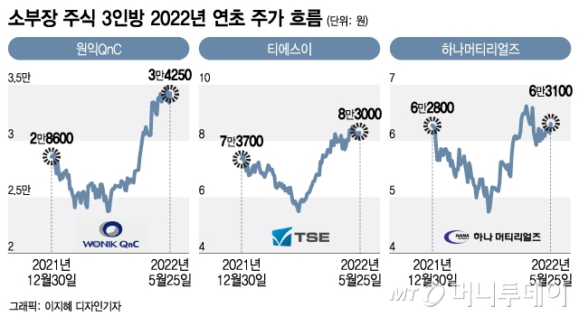 "6만전자보다 매력적" 외국인 소리없이 '줍줍'한 韓 소부장 주식