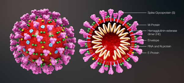 RNA 백신은 무엇이며 그들은 어떻게 작용하는가?
