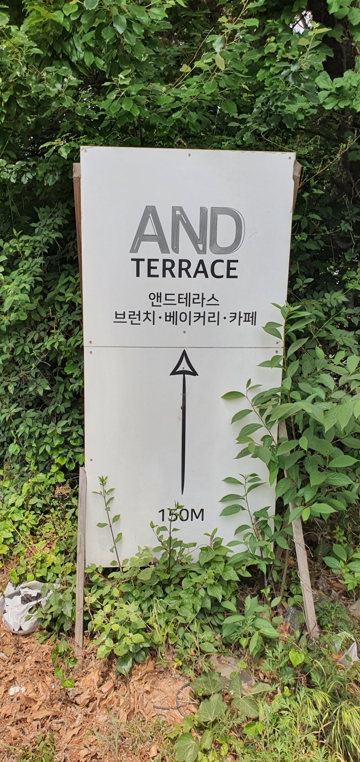  [카페추천] 파주의 "엔드테라스" 드디어 가다!