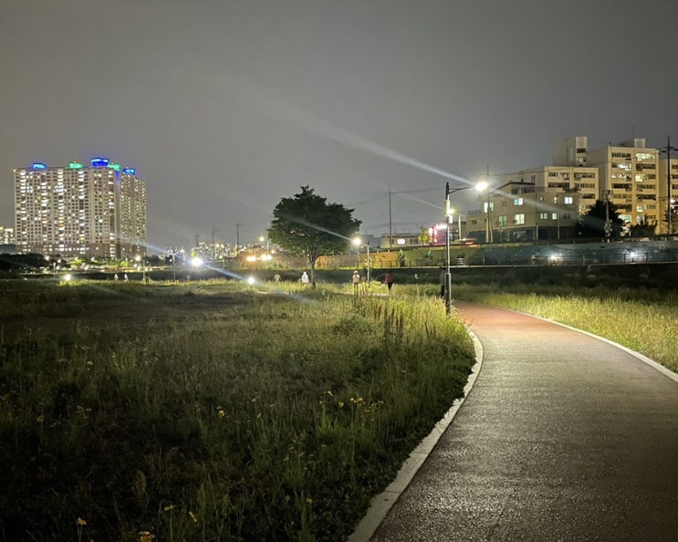  [경산/강변길] 강변산책, 방광엔 걷기운동 추천! (과민성방광 경과)