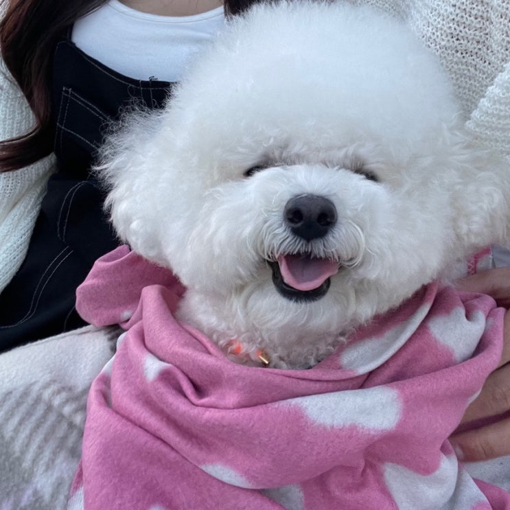  네이버 인플루언서 슈퍼애드 떼리미 선정!