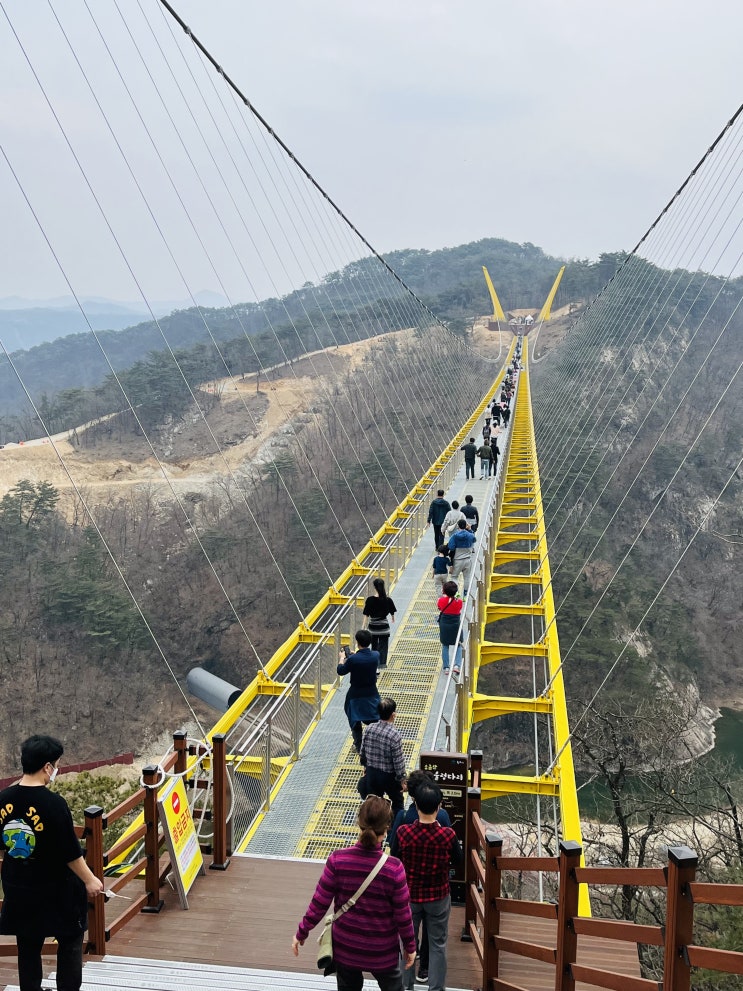  원주 가볼만한곳! 소금산출렁다리, 울렁다리(22년3월)