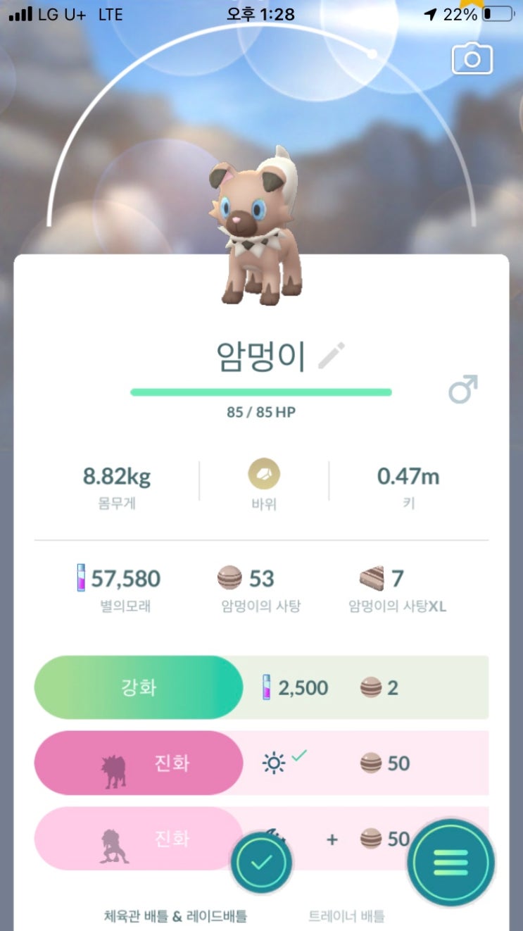  암멍이 진화
